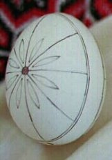 Demonstration Egg 1